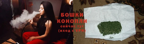 apvp Иннополис