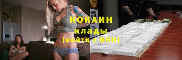 apvp Иннополис