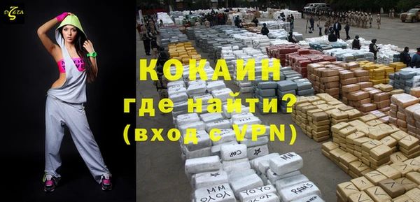 apvp Иннополис