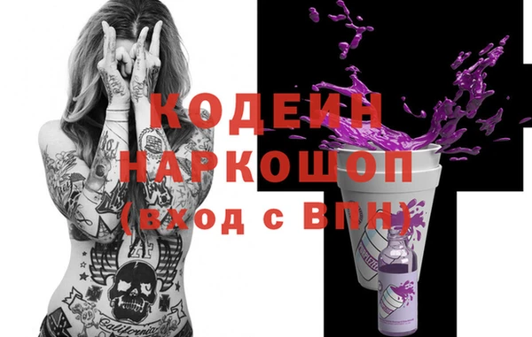 apvp Иннополис
