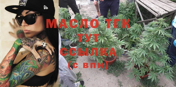 твердый Зеленодольск