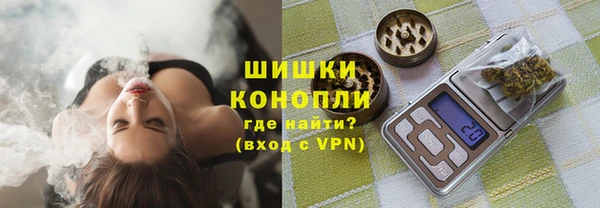 apvp Иннополис