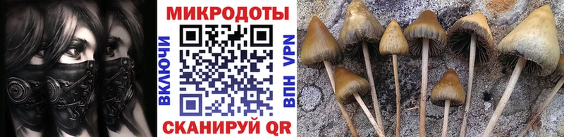 Купить закладки  Боровск  Галлюциногенные грибы Magic Shrooms 